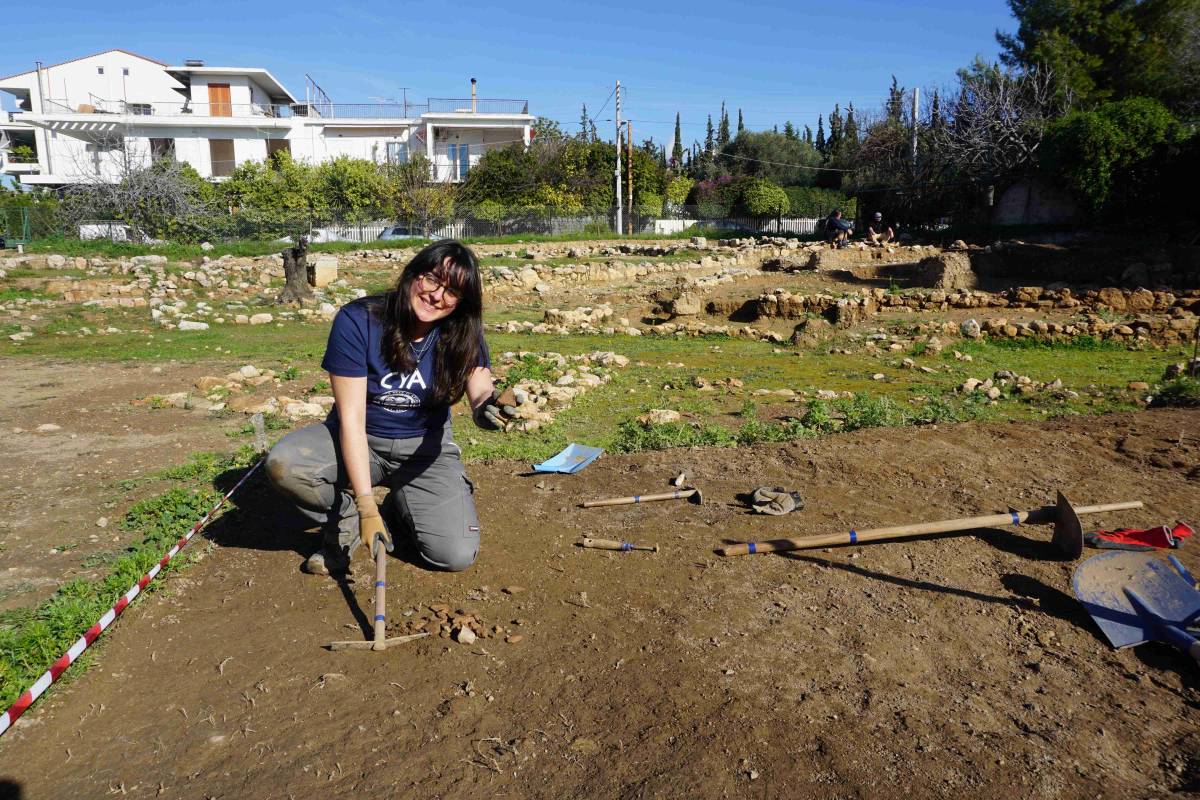 Winter Excavation