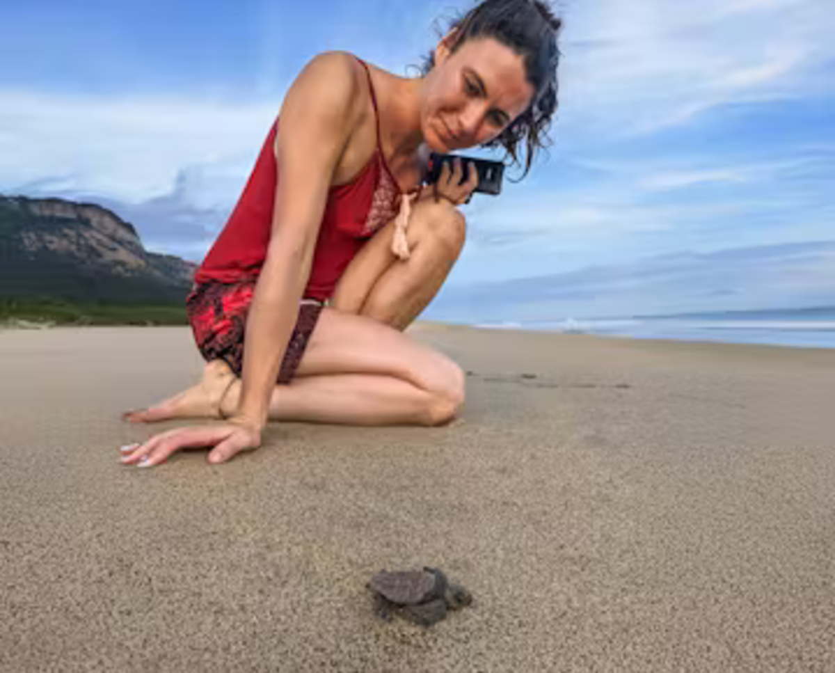 Woman Observing a Hatchling