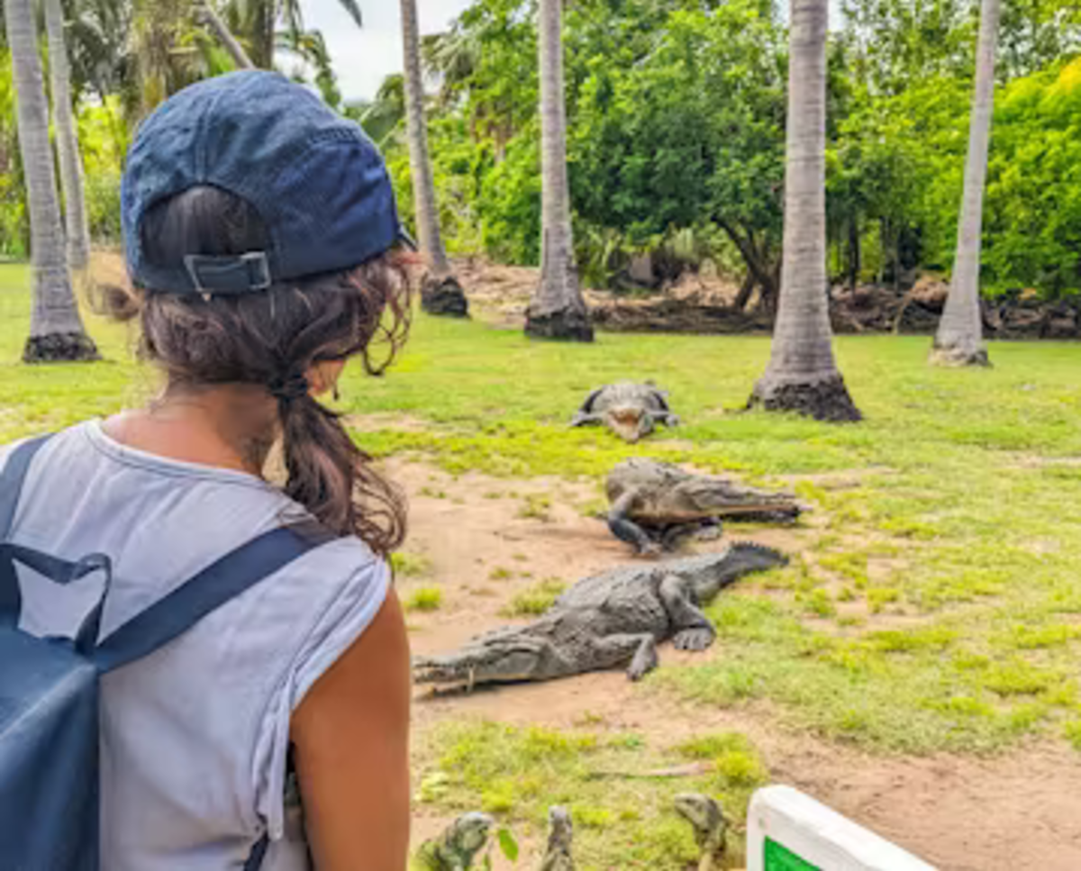 Woman Observing Crocodiles in Mexico