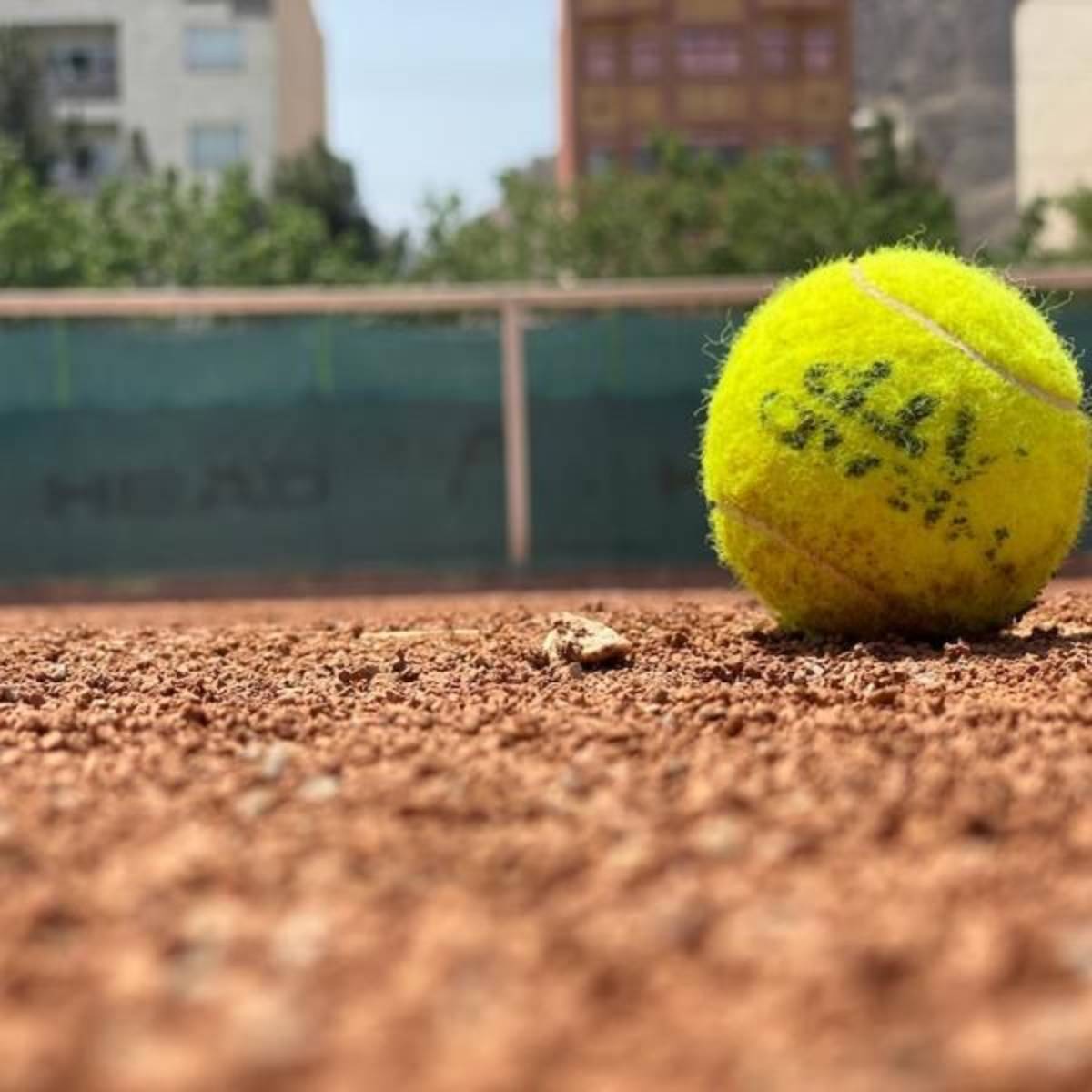 Sports Management Internship