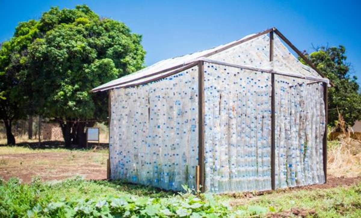 Zambia Volunteer Community with IVHQ