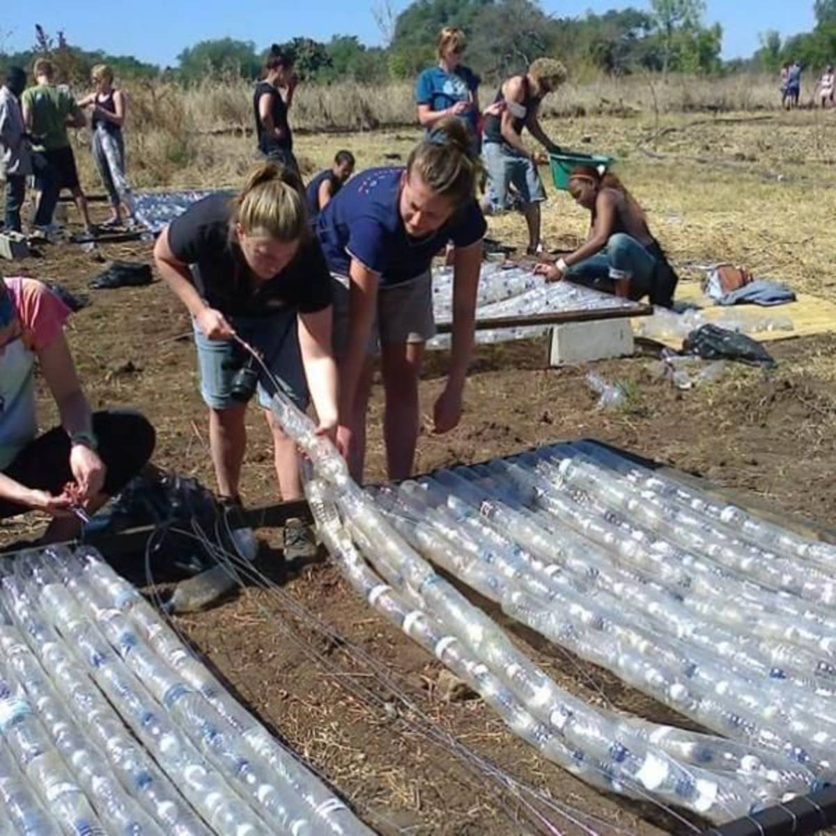 GoEco Zambia - Environmental Impact Internship