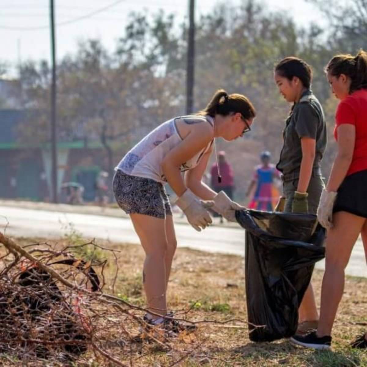 GoEco Zambia - Environmental Impact Internship