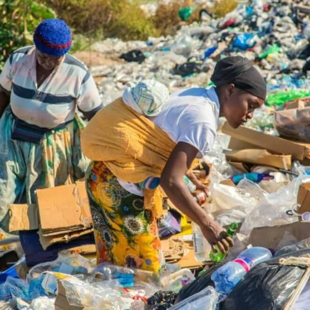 GoEco Zambia - Environmental Impact Internship