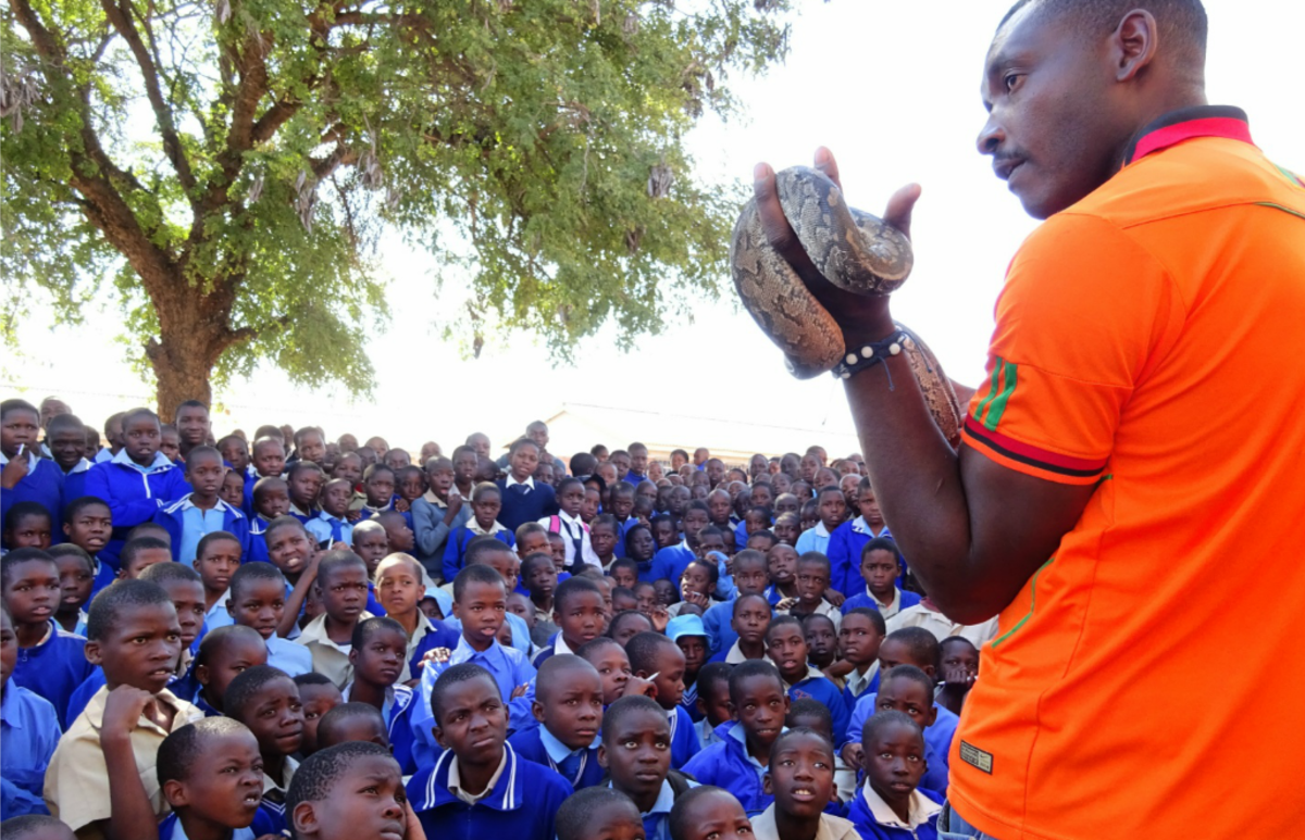 Zimbabwe - African Wildlife Orphanage