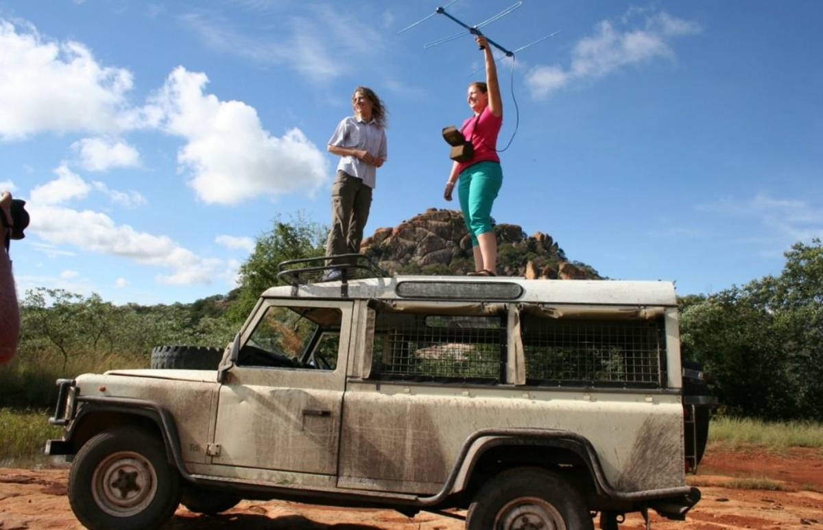 Zimbabwe - African Wildlife Orphanage