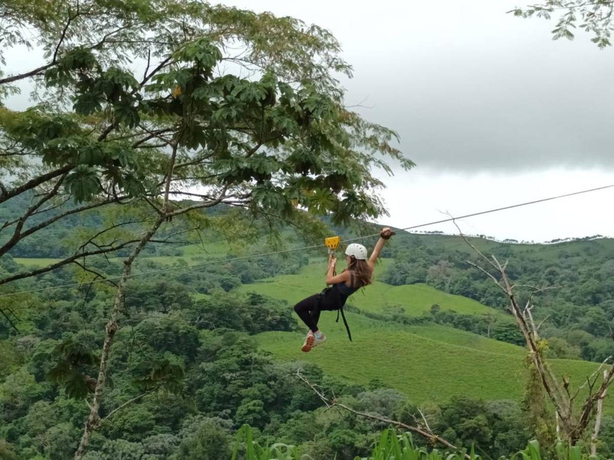 zipline