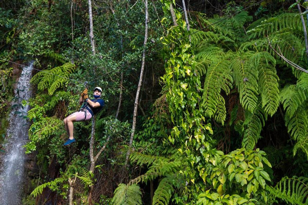 Ziplining in the Cloud Forest