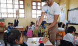 education, reforestation