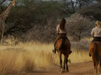 African Horse Safaris