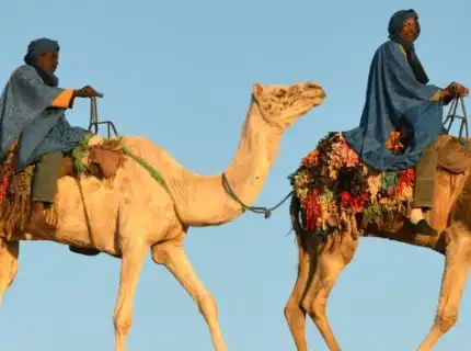 Study Abroad in Morocco (Al Akhawayn University)