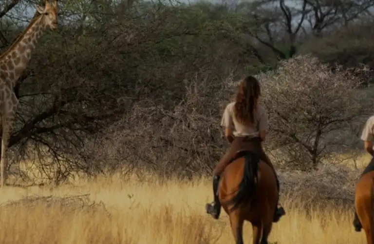 African Horse Safaris