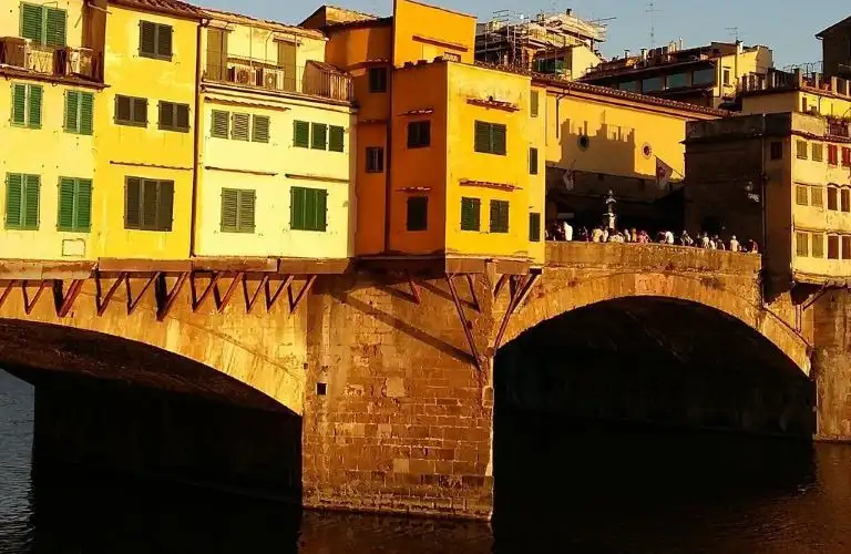 Via Lingua International LLC