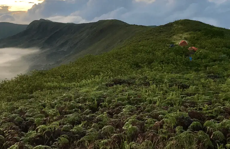 Volunteer in Ecuador