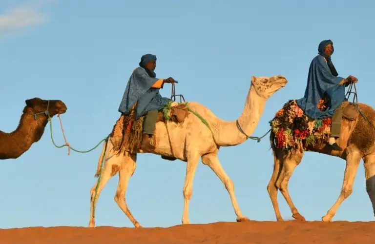 Study Abroad in Morocco (Al Akhawayn University)