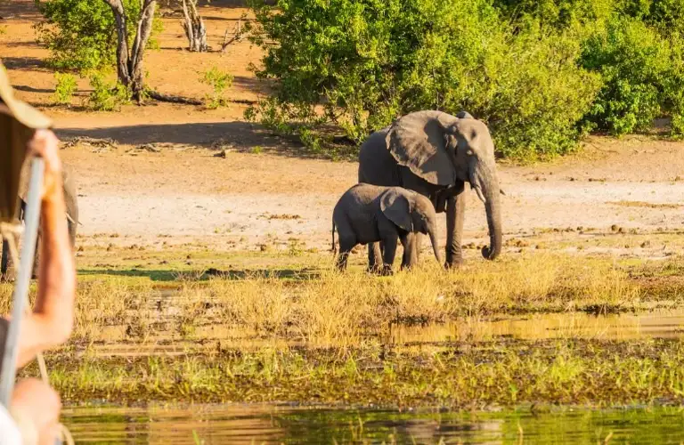 Study Abroad in South Africa (Stellenbosch University)