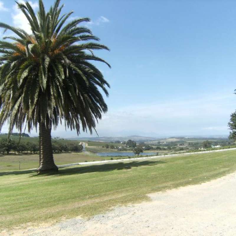 Intern in South Africa with World Endeavors — photo 5