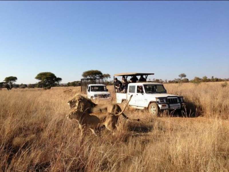 South Africa - Kevin Richardson Wildlife Sanctuary — photo 2