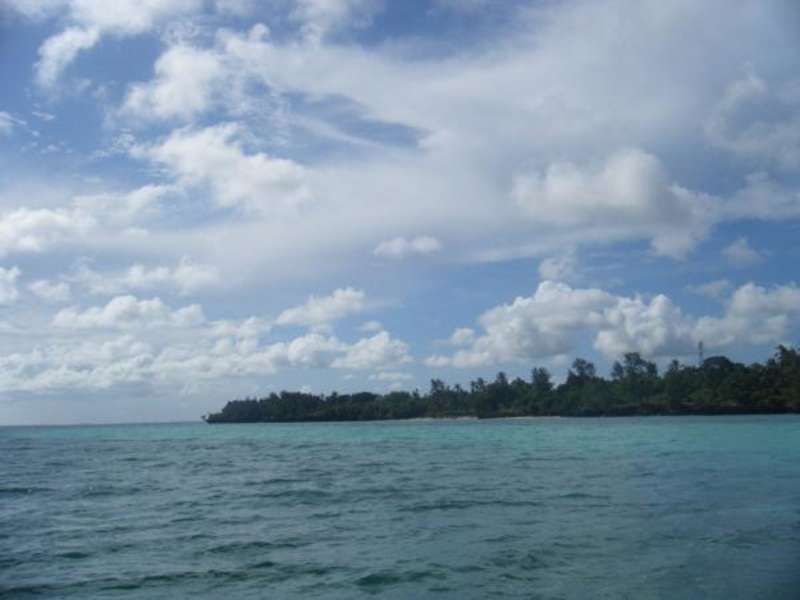 Zanzibar - Dolphin and Marine Conservation — photo 4
