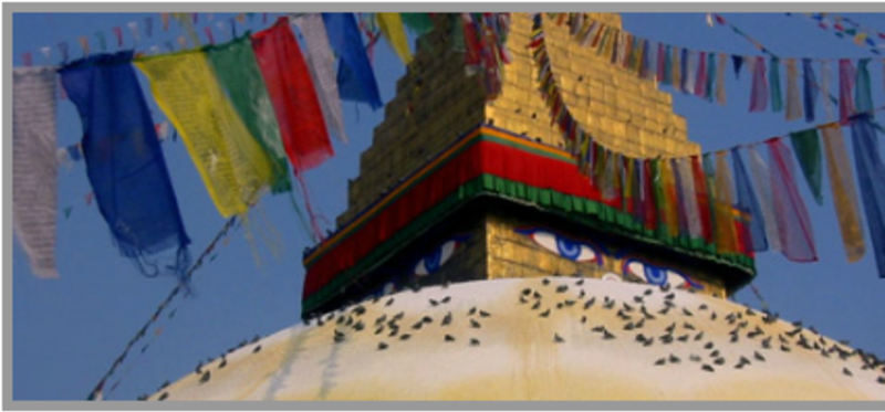 Nepal Semester: Himalayan Studies (Gap Year) — photo 5