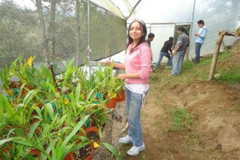 Woman in a greenhouse