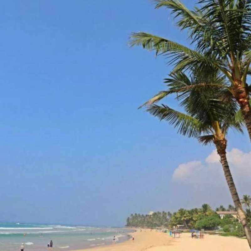 GoEco Sri Lanka - Sea Turtle Rescue and Rehabilitation