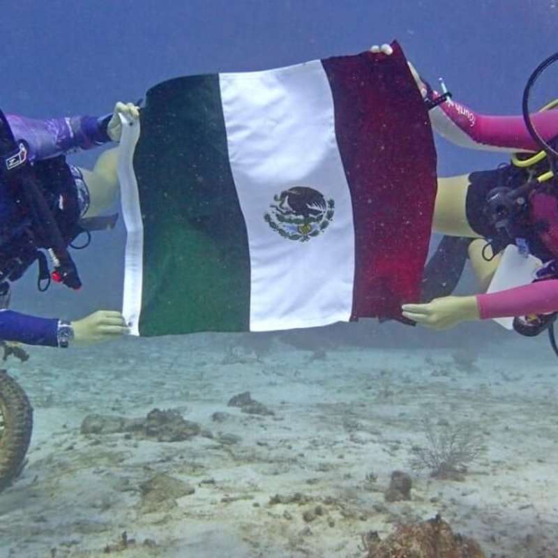 GoEco Mexico - Diving for Marine Conservation