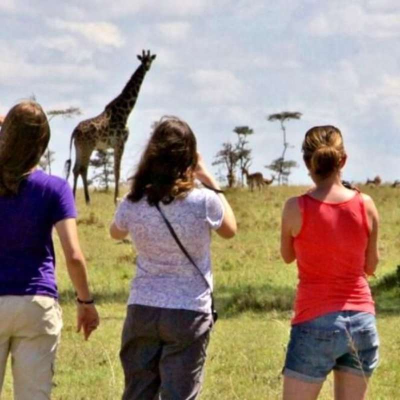 GoEco Kenya - Teaching, Maasai Mara & Beach Road Trip