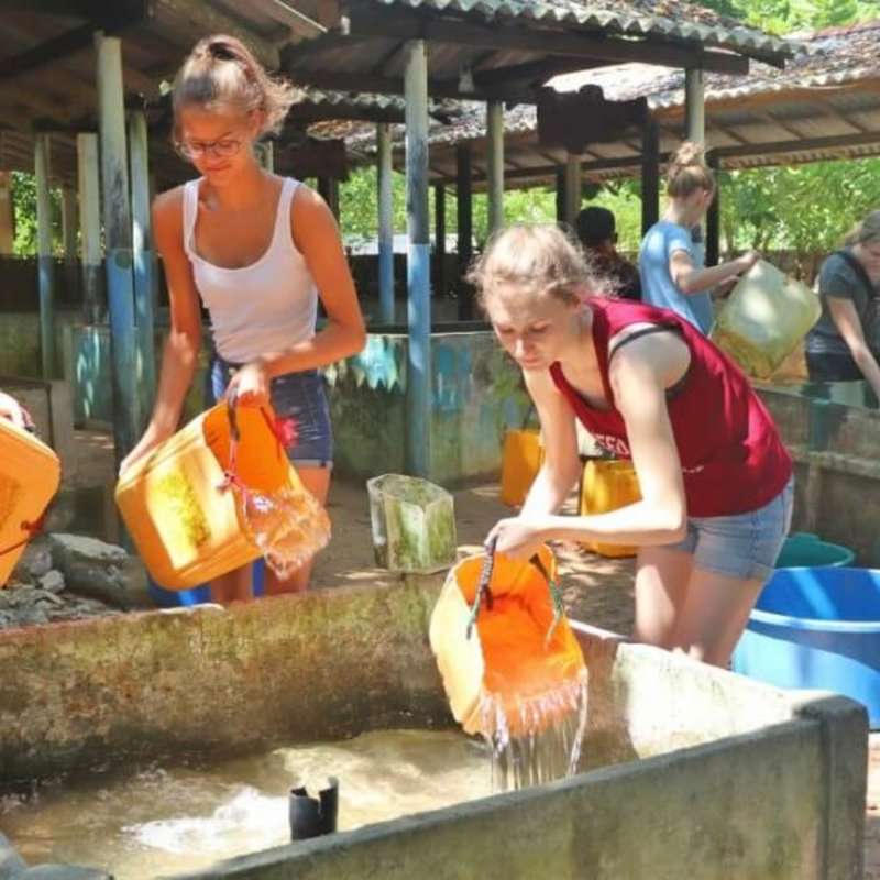 GoEco Sri Lanka - Sea Turtle Rescue and Rehabilitation