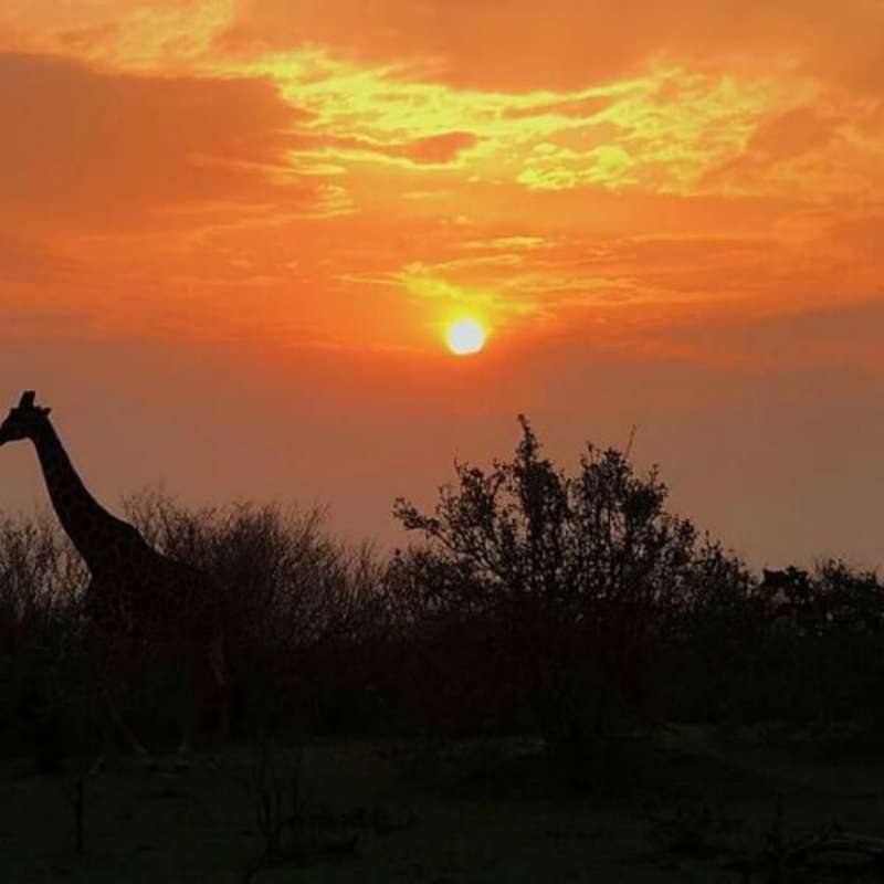 GoEco Kenya - Teaching, Maasai Mara & Beach Road Trip