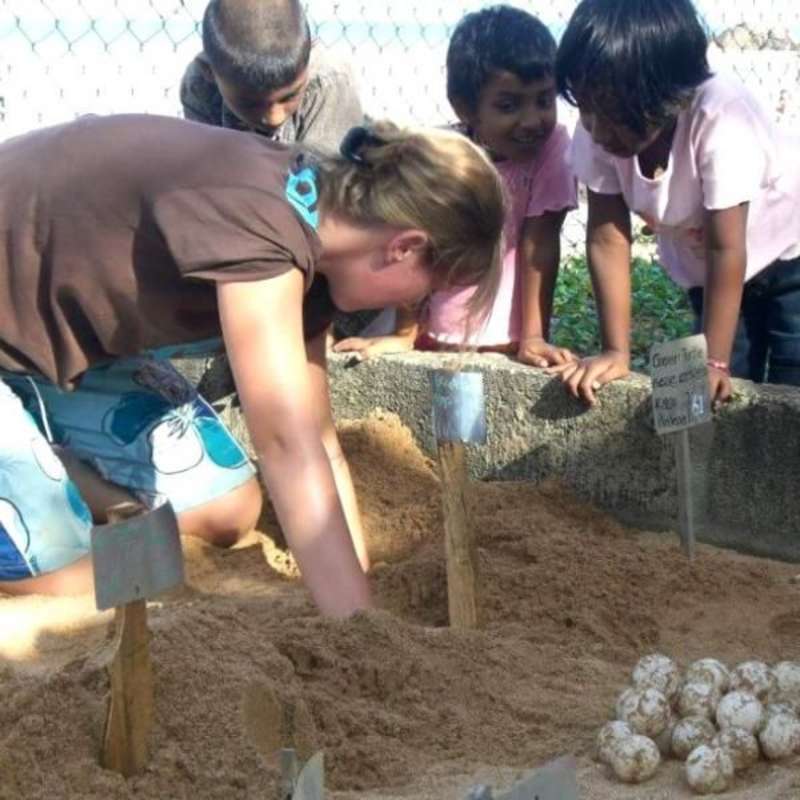 GoEco Sri Lanka - Sea Turtle Rescue and Rehabilitation