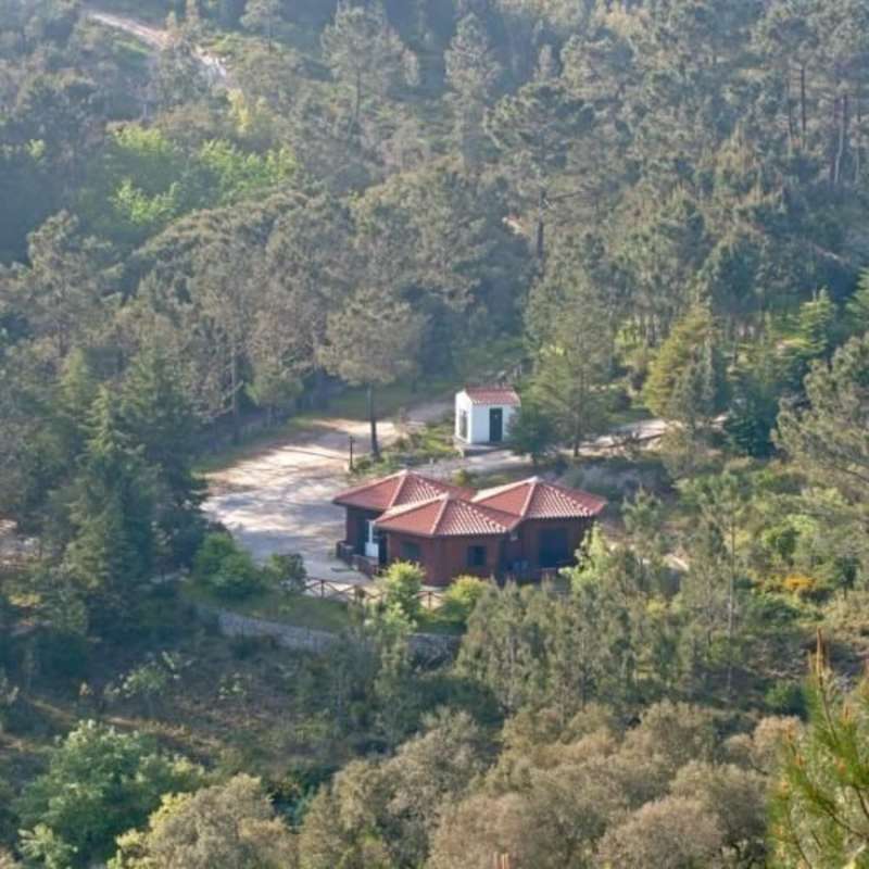 Portugal - Wolf Conservation and Lisbon Experience