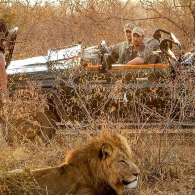 GoEco - 50+ VolunTour - Big 5 Conservation & Kruger Safari