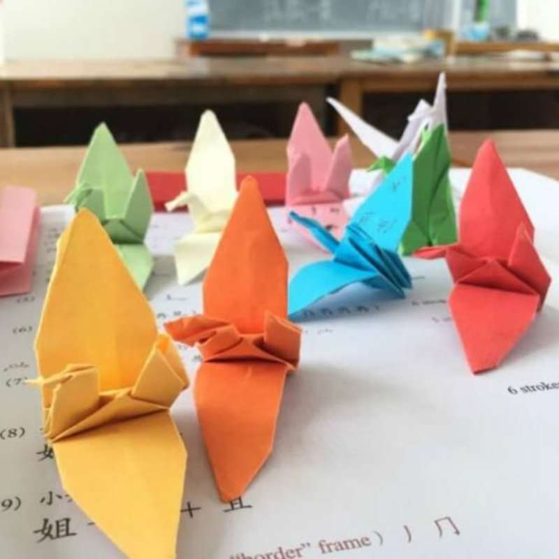 GoEco China - Community Aid and Teaching in Fengyan