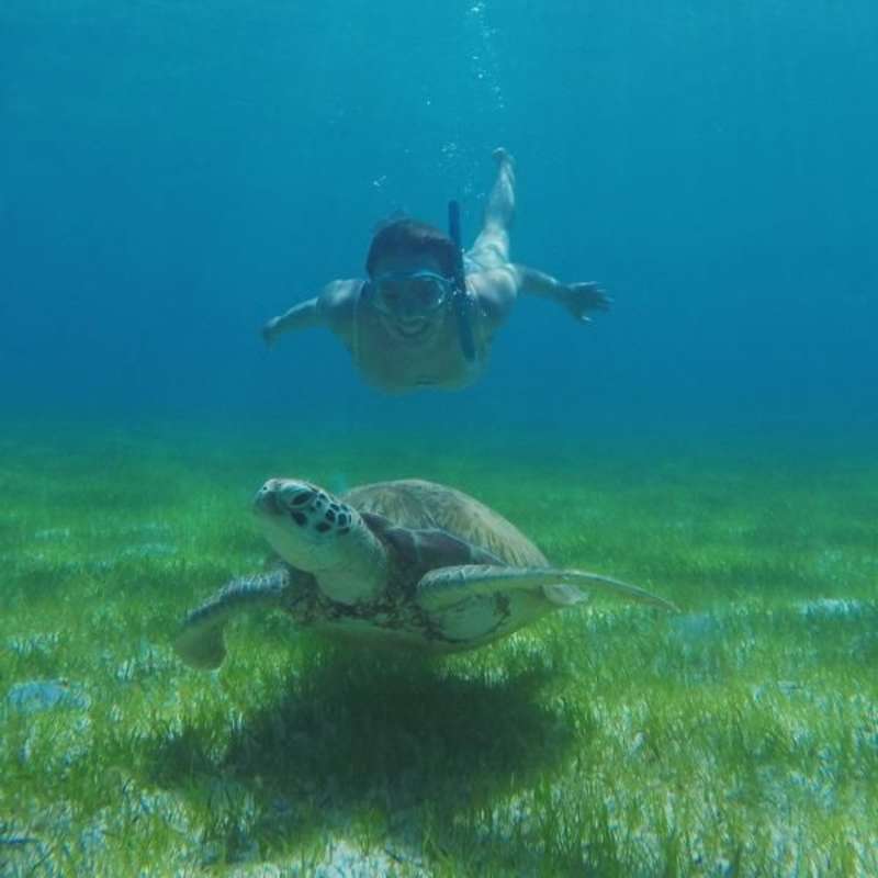 Volunteer in Sea Turtle Conservation