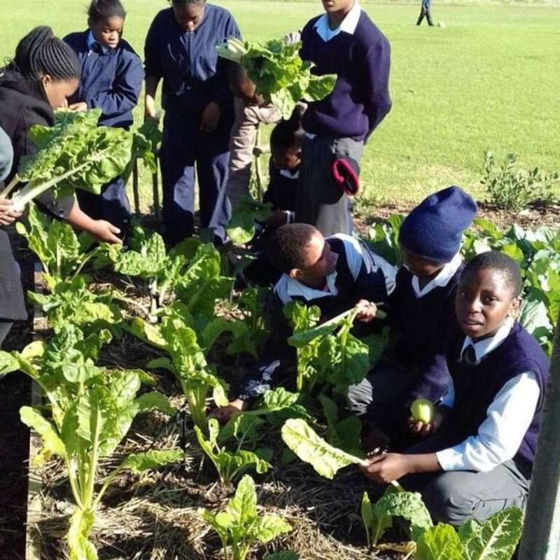 food security internship South Africa