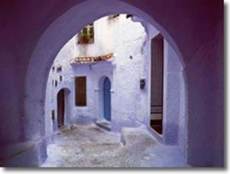 Arabic Language Immersion Programs in Morocco — photo 3