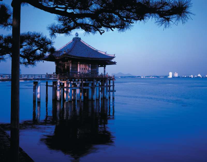 Study Abroad in Tokyo, Japan