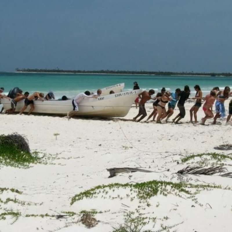 Volunteer in Marine Conservation