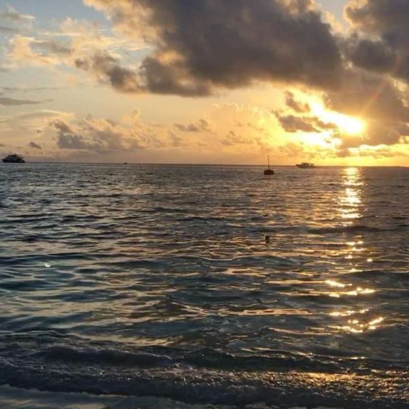 Volunteer in the Maldives