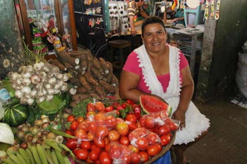Get Paid to Teach English Abroad in Paraguay with a TEFL/TESOL Certification — photo 1