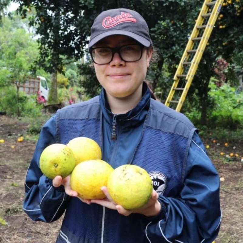 Sustainable Agriculture & Urban Farming