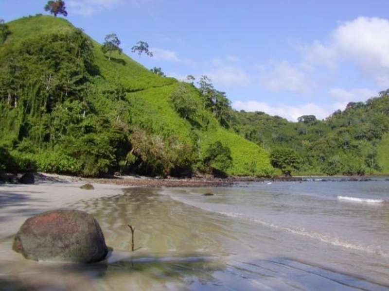 Costa Rica - Sea Turtle Conservation — photo 8