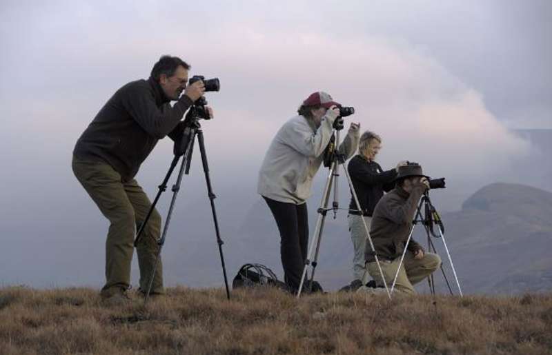 South Africa - Wildlife Photography and Conservation — photo 5