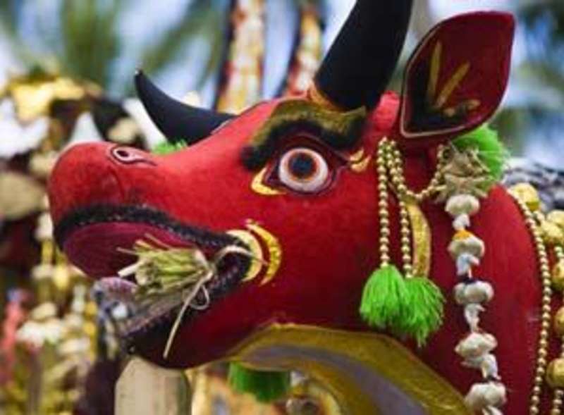 Get Paid to Teach English Abroad in Indonesia with a TEFL/TESOL Certification — photo 1