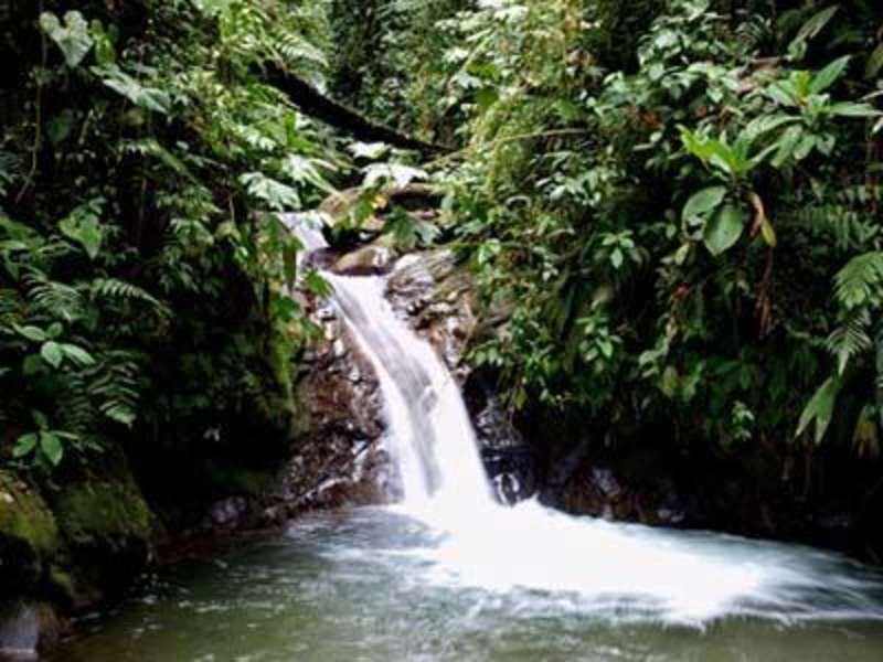 Get TEFL Certified & Get Paid to Teach English in Ecuador — photo 4