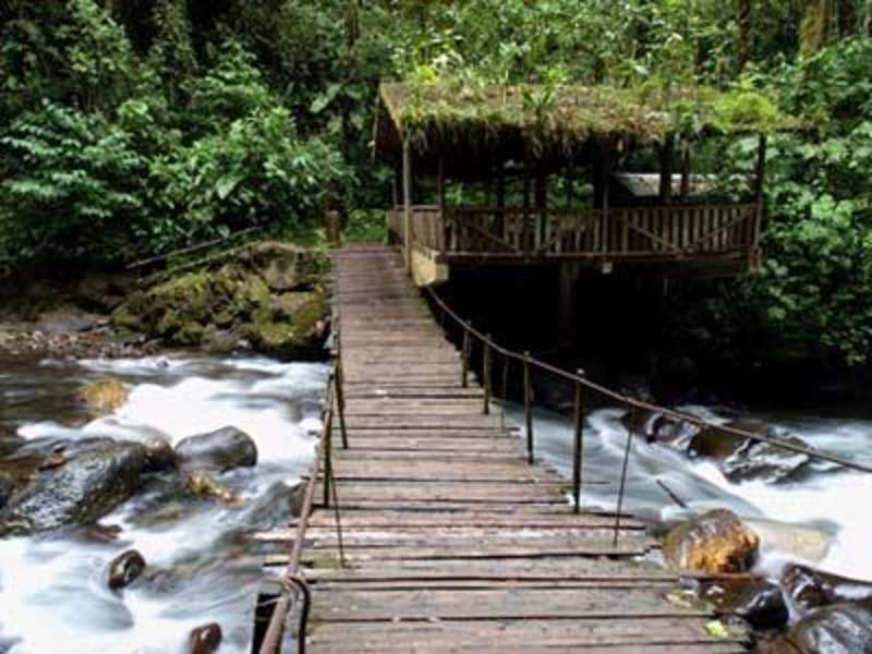 Get TEFL Certified & Get Paid to Teach English in Ecuador — photo 6
