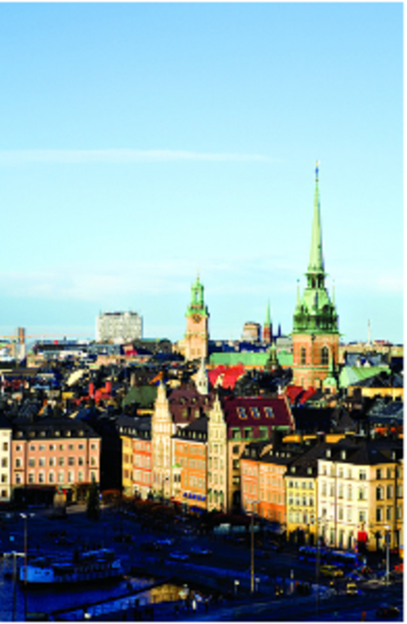 AFS Intercultural Programs: High School Abroad in Sweden — photo 3
