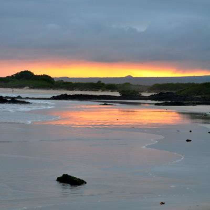 Social Media Volunteer and Intern in Galapagos — photo 8