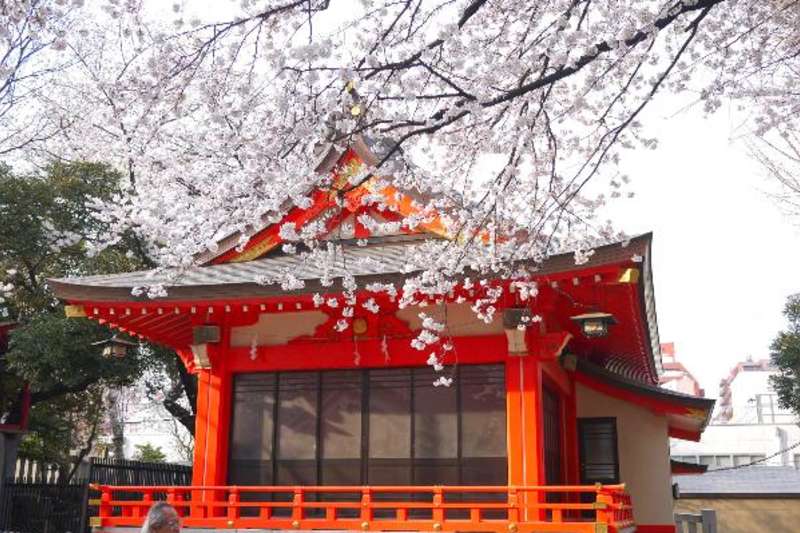 Genki Japanese and Culture School — photo 3